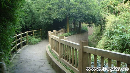 20081024145539105_2.jpg