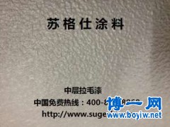 中国十大涂料/华南网