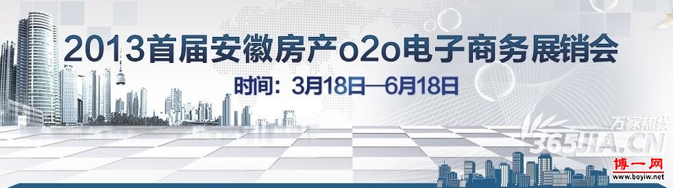 2013年首届安徽房产O2O电子商务展销会
