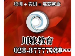 成都CAD短期培训 川软寒假班特价大优惠图1