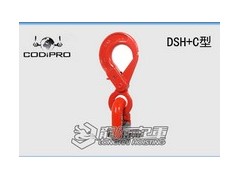 卢森堡DSH+C万向旋转吊环价格，DSH+C旋转吊点报价图1