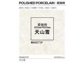 800x800瓷抛砖POLISHED PORCELAIN 天山雪 云山杏玉图2