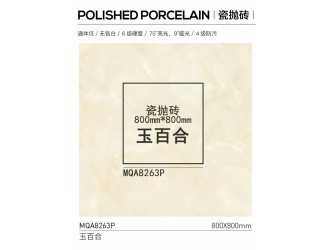 800x800瓷抛砖POLISHED PORCELAIN 玉百合 玉芙蓉图3