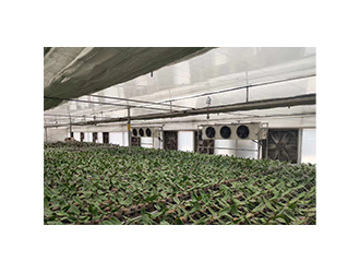 农业种植大棚空气能采暖工程 温室大棚供暖系统图1