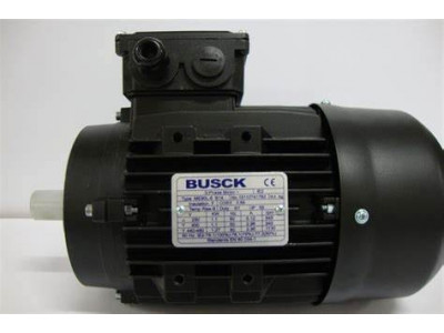 品质保证瑞典销售BUSCK电机，Busck单相电机