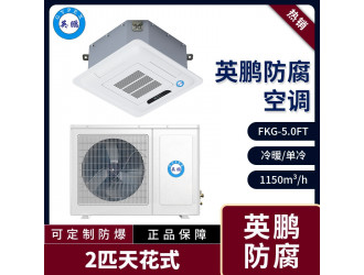 FKG-5.0FT新疆防腐空调 英鹏防腐空调图1