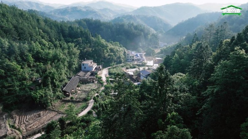 带儿女向自然找寻本真，这位父亲回故乡安家，让爱与美在乡野肆意生长9