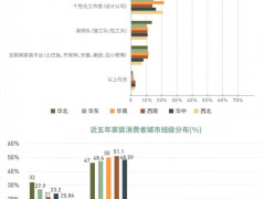 2024中国家装消费研究报告·第二篇