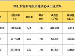 总价523亿元，上海诞生全国“地王之王”