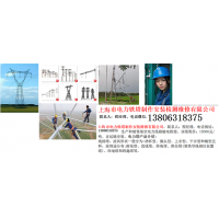 上海市电力铁塔制作安装检测维修有限公司