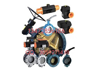 德國依博羅EBRO支耳式渦