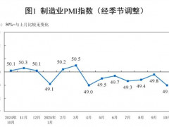 2025年10月制造业PMI为49.0%，环比下降0.8个百分点